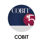 PERFORMANCE__m-ISO-COBIT